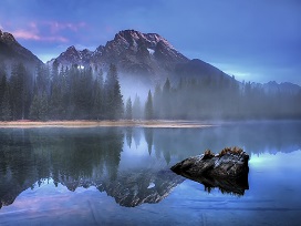 sightseeing-image
